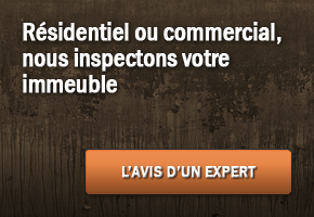 Cardinal Habitat Inspection : Choisissez les compétences et la réputation - Résidentiel ou commercial, nous inspectons votre immeuble.